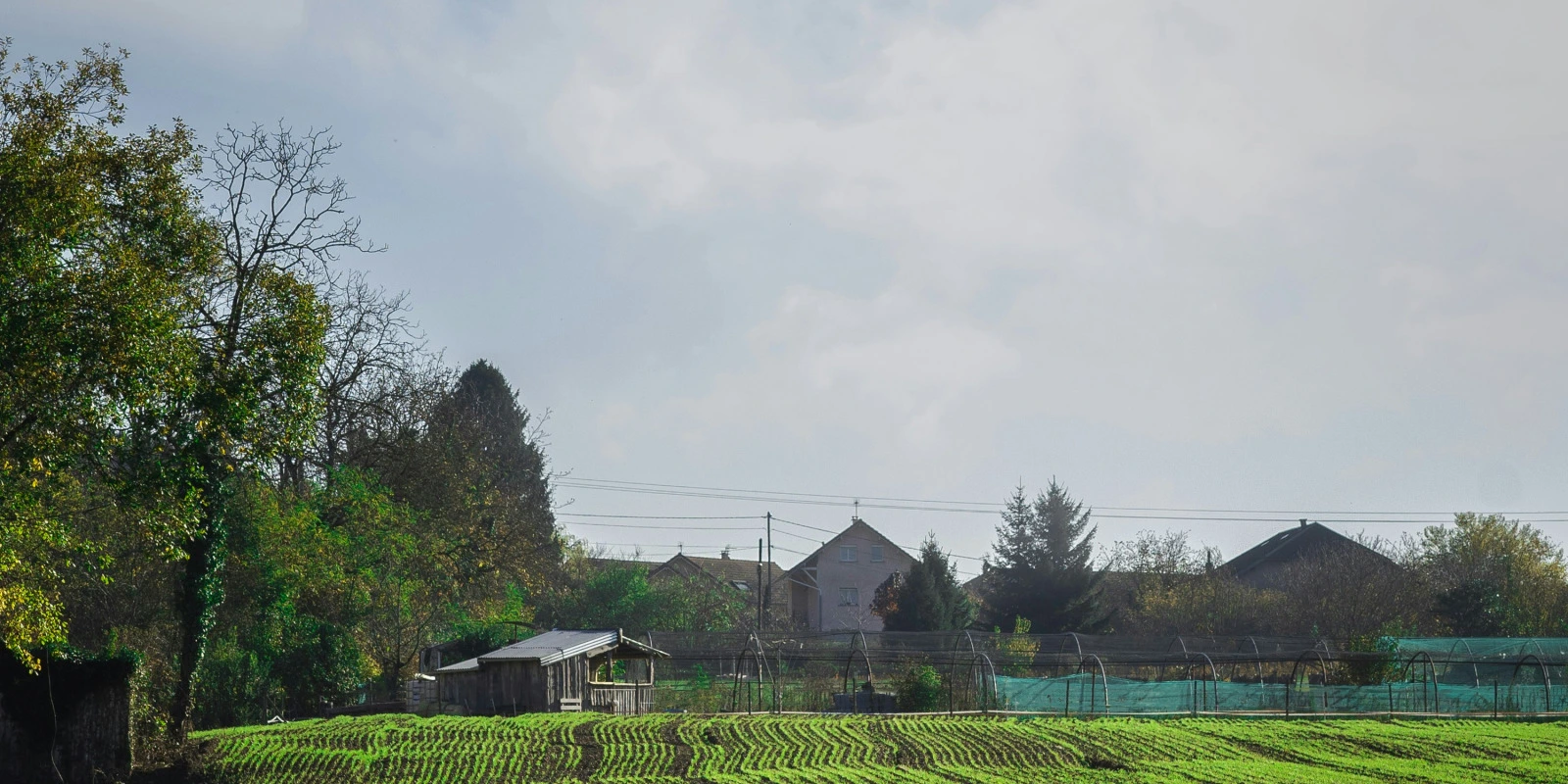 Activités Physiques et Santé Publique : Impact du Sport sur la Société Activités Physiques et Santé Publique : Impact du Sport sur la Société