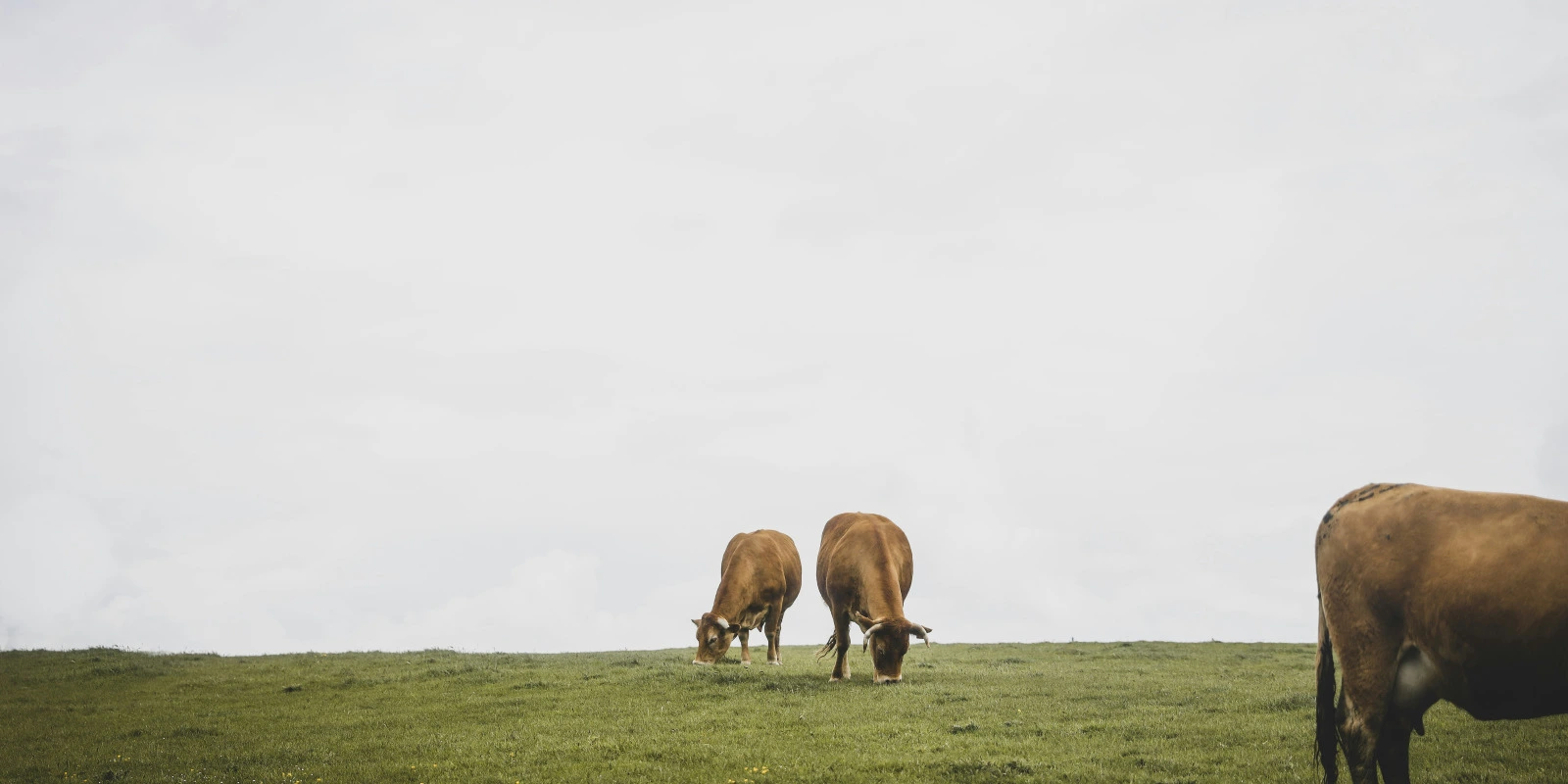 Études STAPS : Matières et Cours en L2