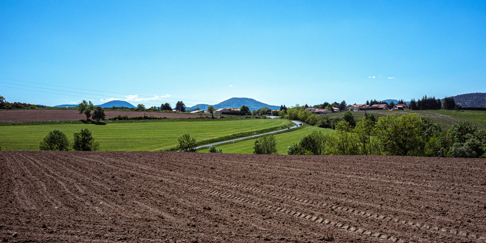 Les Inscriptions STAPS sur Parcoursup : Comment Faire?