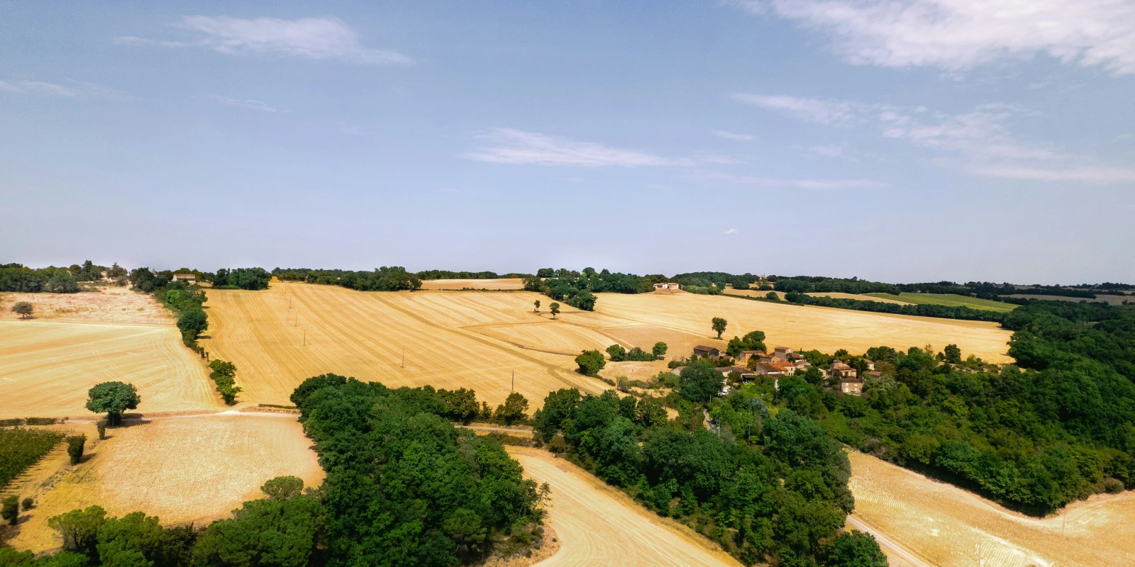 Licence STAPS (Sciences et Techniques des Activités Physiques et Sportives) : Les Meilleurs Classements