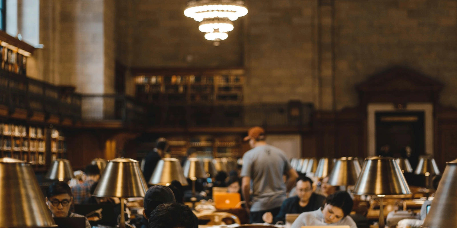 Programme STAPS : Options en L3