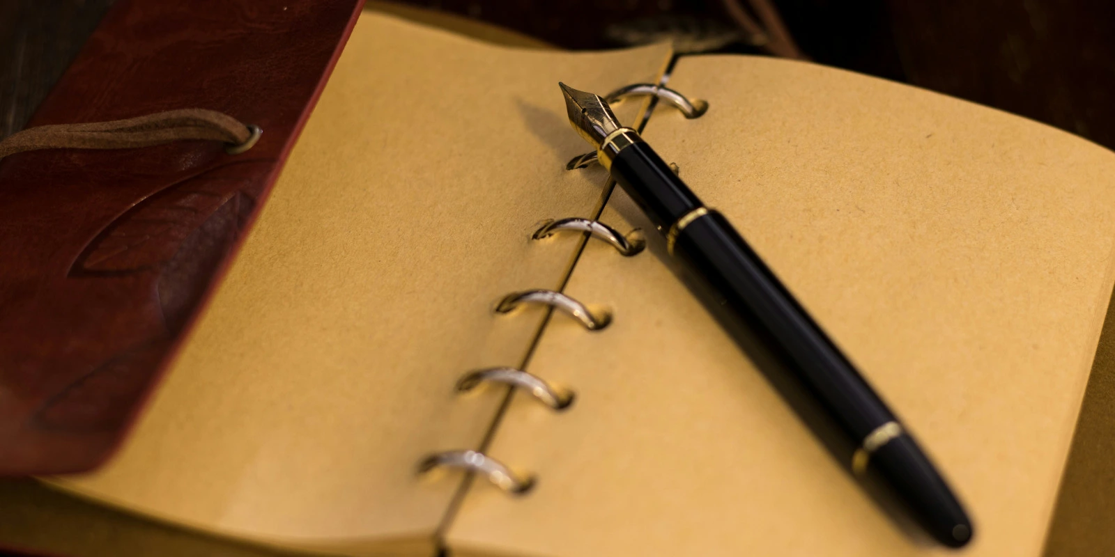 STAPS Anglet : Les Cours et Spécialités