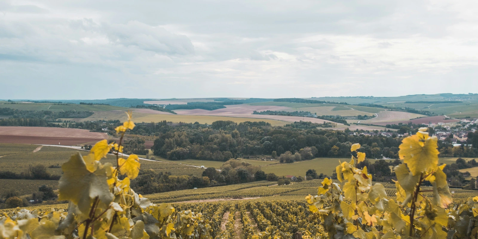 STAPS Ergonomie : Les Débouchés et Spécialités STAPS Ergonomie : Les Débouchés et Spécialités