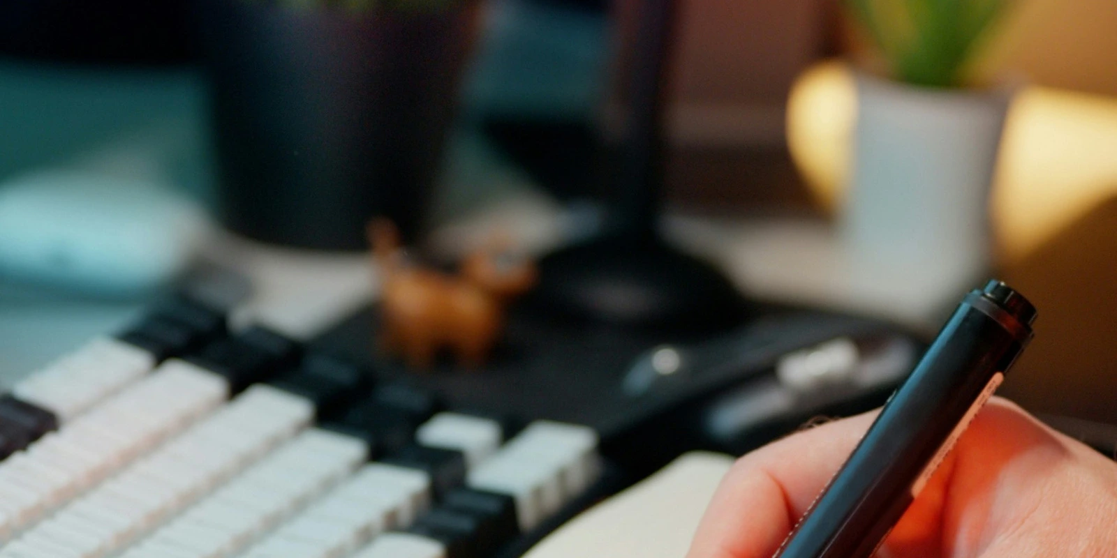 STAPS Lille : Cours et Matières