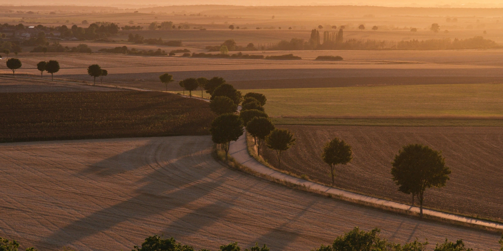 STAPS Lille : Les Formations en APA