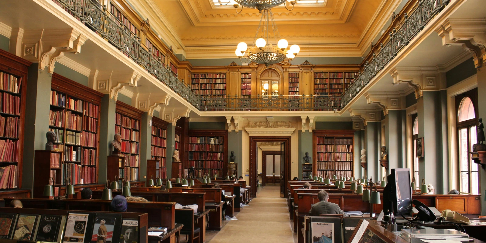 STAPS Saint-Étienne : Options et Opportunités