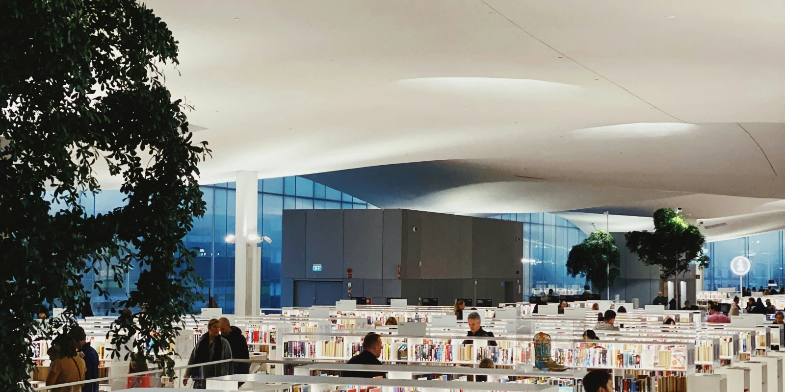 STAPS Valence : Les Spécialités Proposées